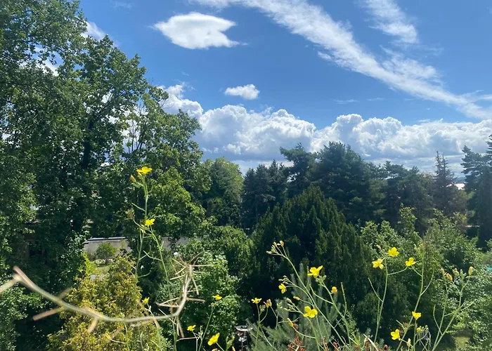 Lichtblick * راديبول